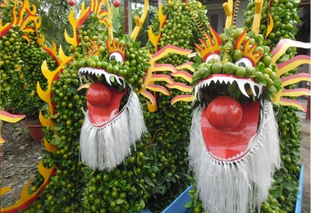 Tour Du Lịch Vườn Trái Cây Miền Tây 1 Ngày (Bến Tre - Chợ Lách)